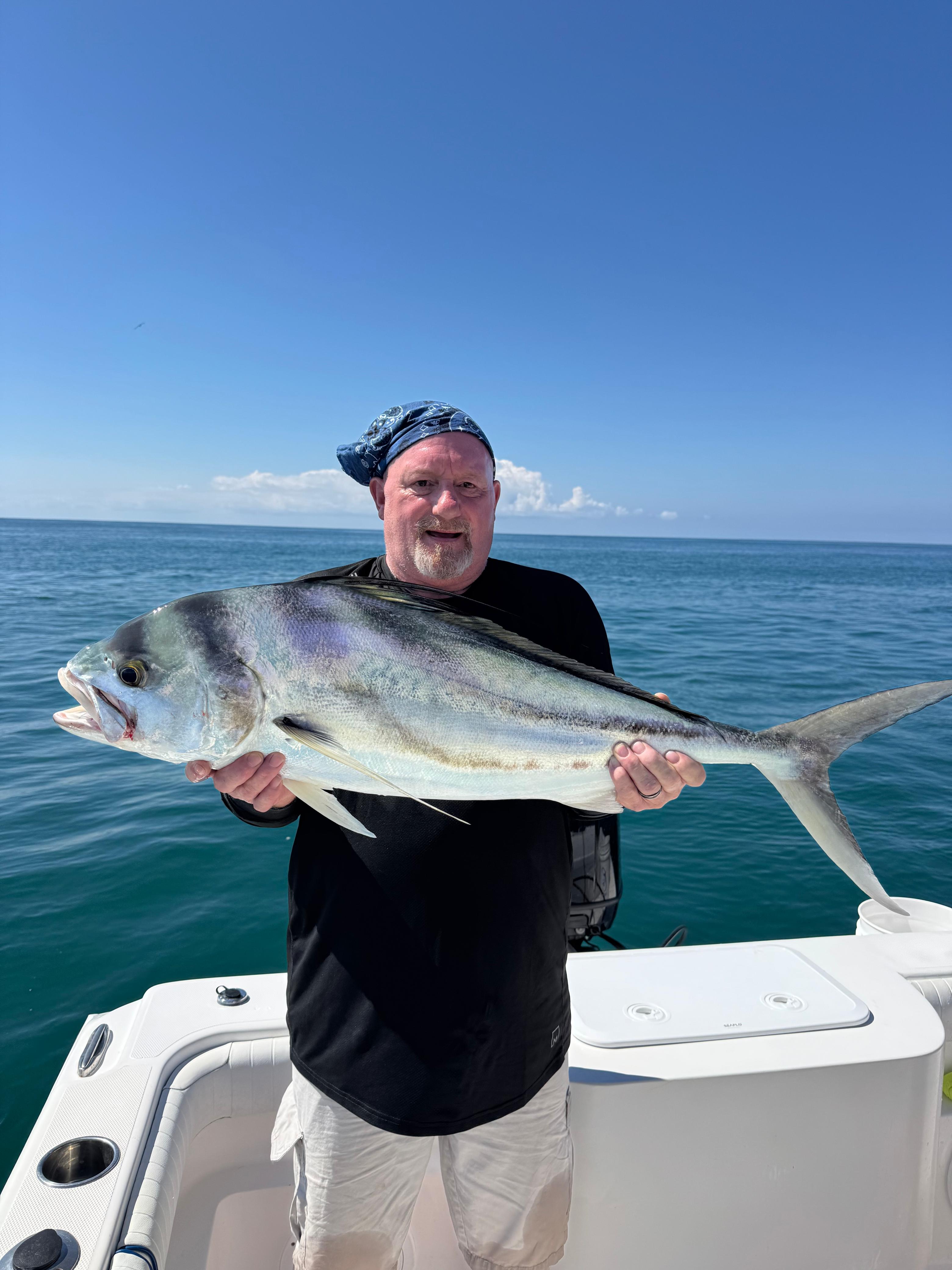 Jack Crevalle