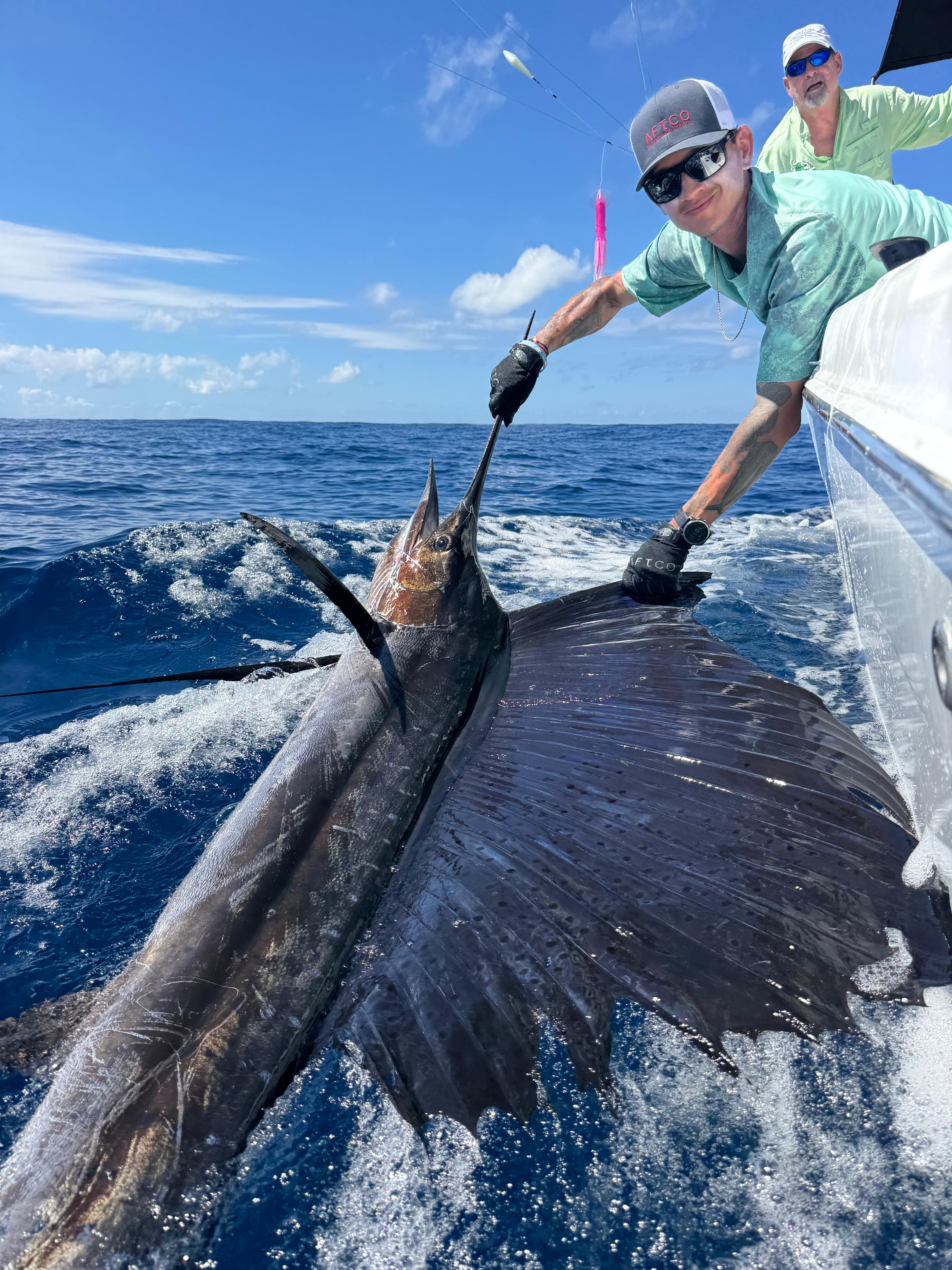 Sailfish Action