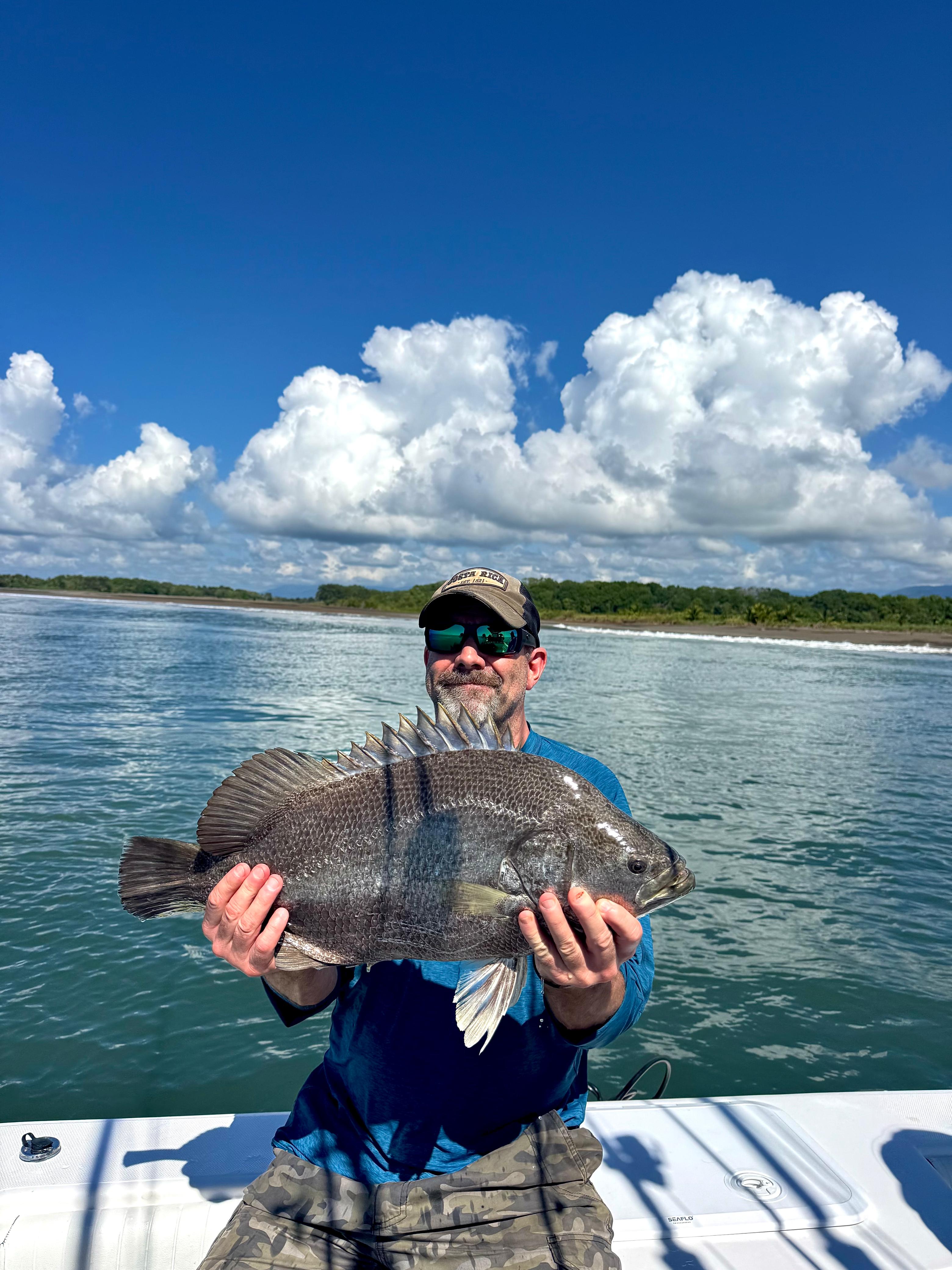Tripletail